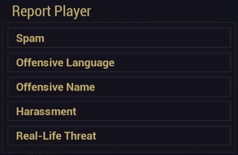 Report_EN.JPG